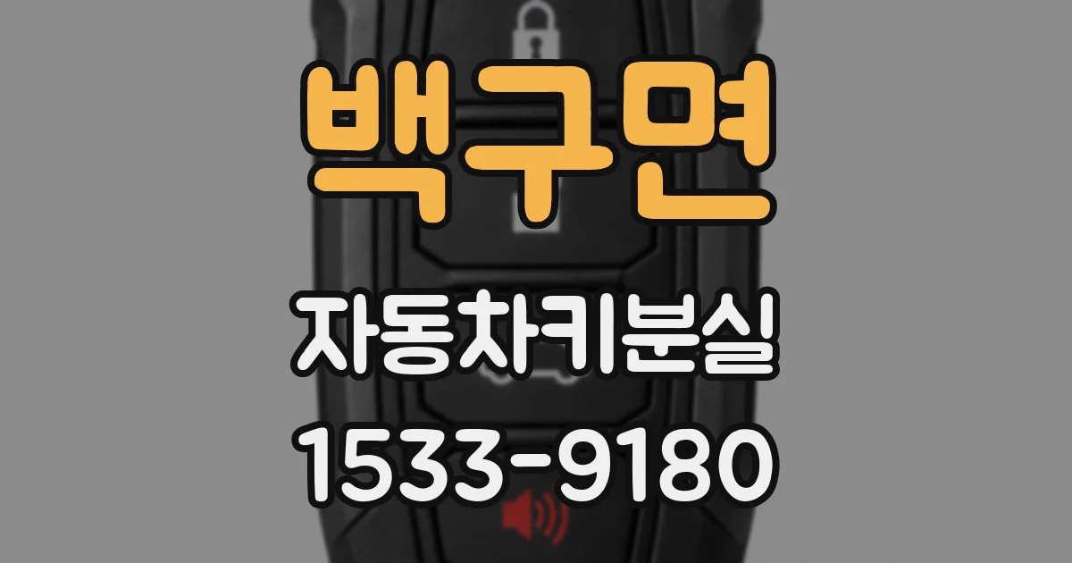 백구면 자동차키분실
