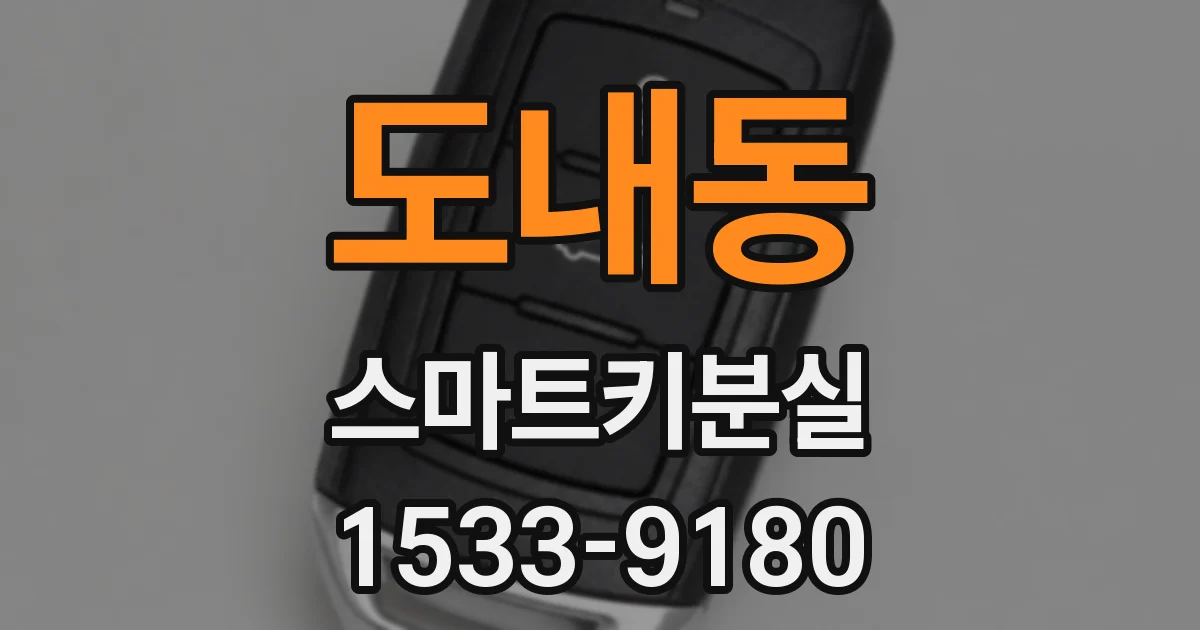 도내동 스마트키분실