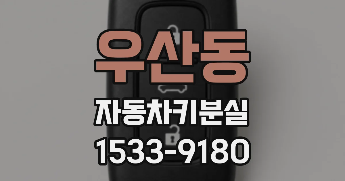 우산동 자동차키분실