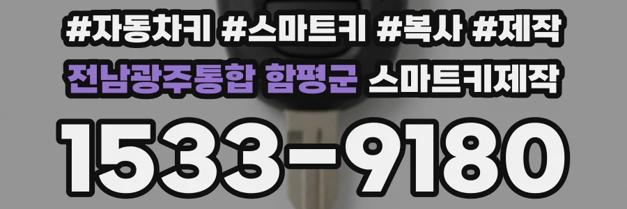 전남광주통합 함평군 스마트키제작
