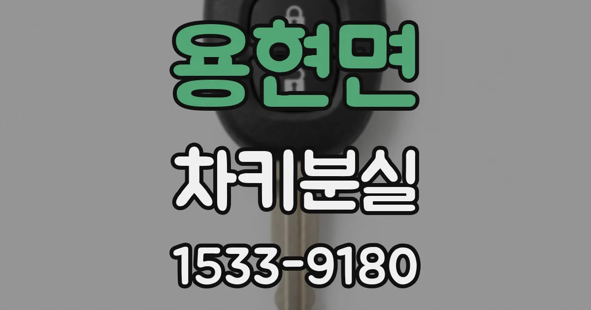 용현면 차키분실