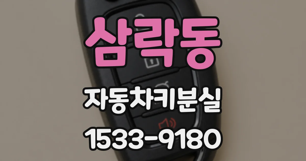 삼락동 자동차키분실