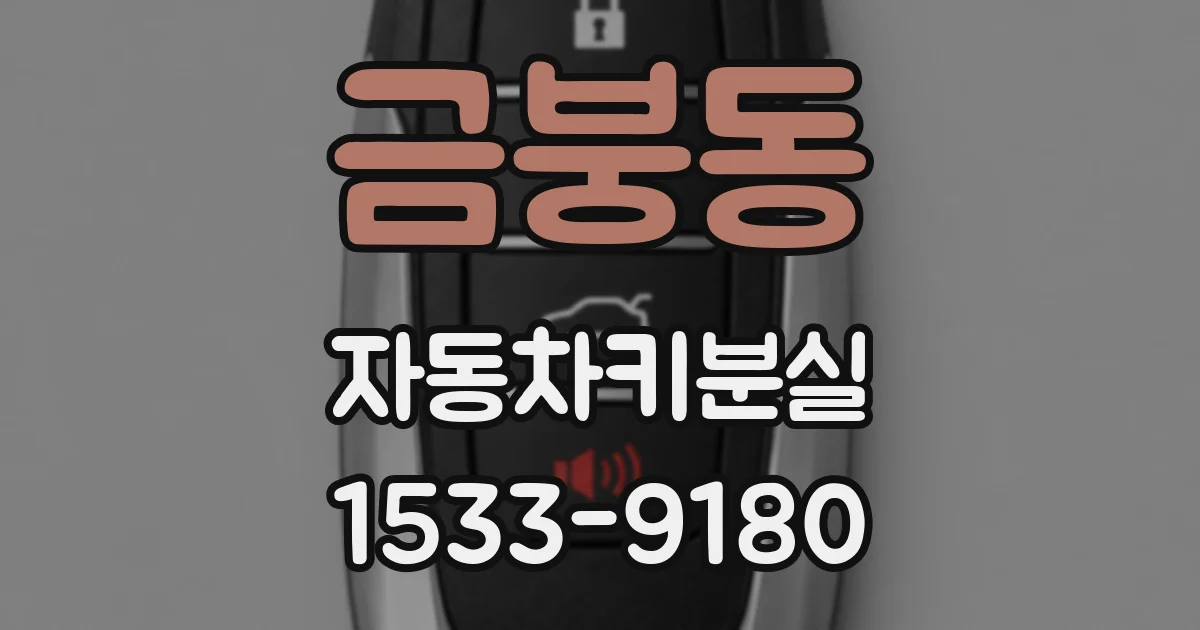 금붕동 자동차키분실