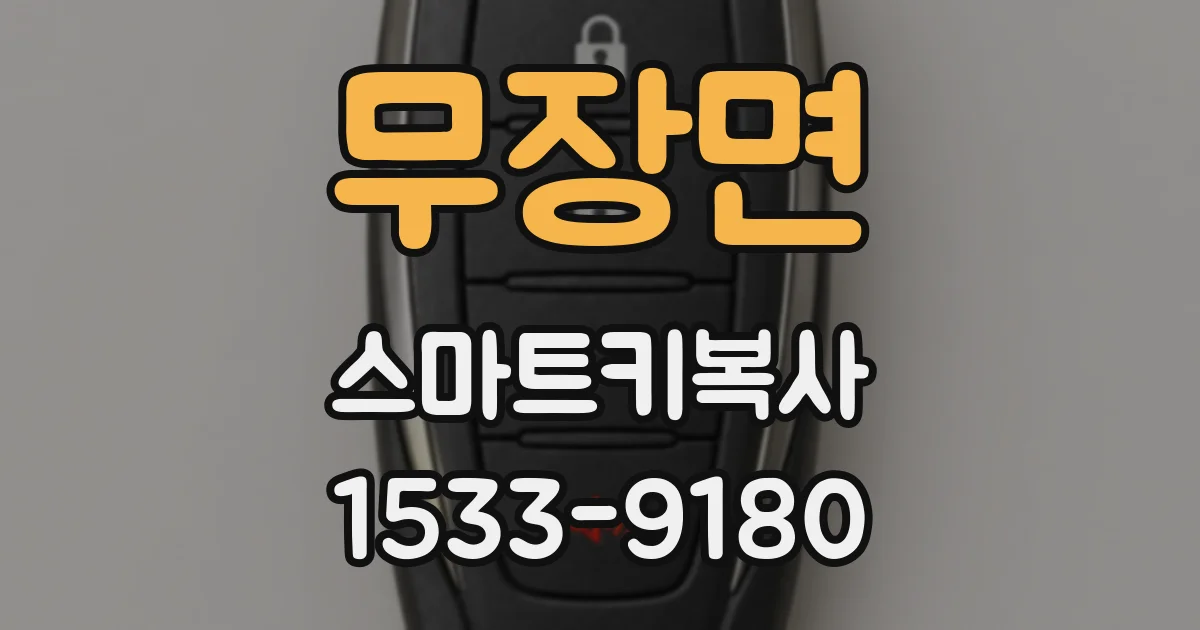 무장면 스마트키복사