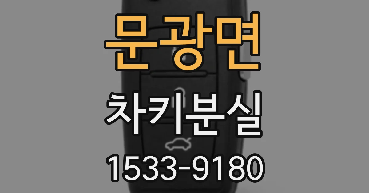 문광면 차키분실
