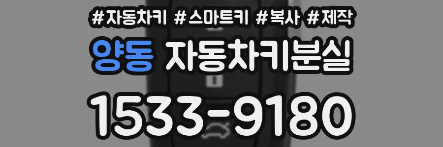 양동 자동차키분실