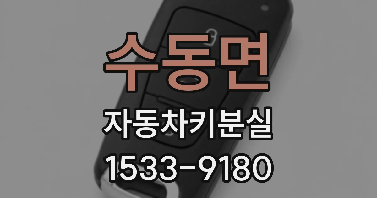 수동면 자동차키분실
