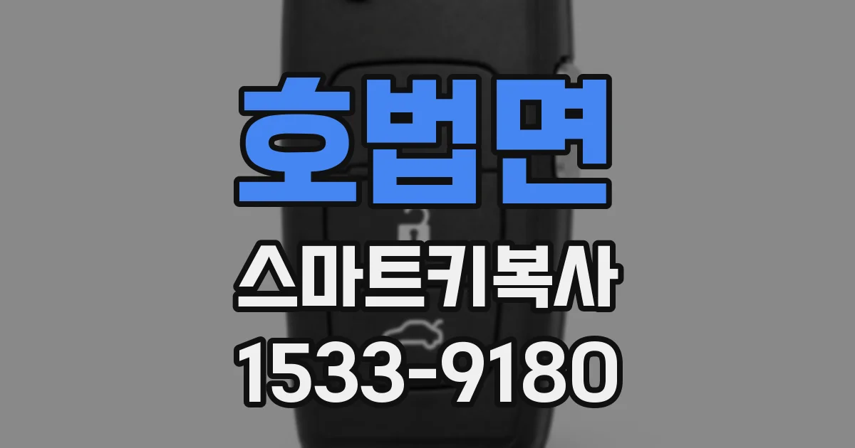 호법면 스마트키복사