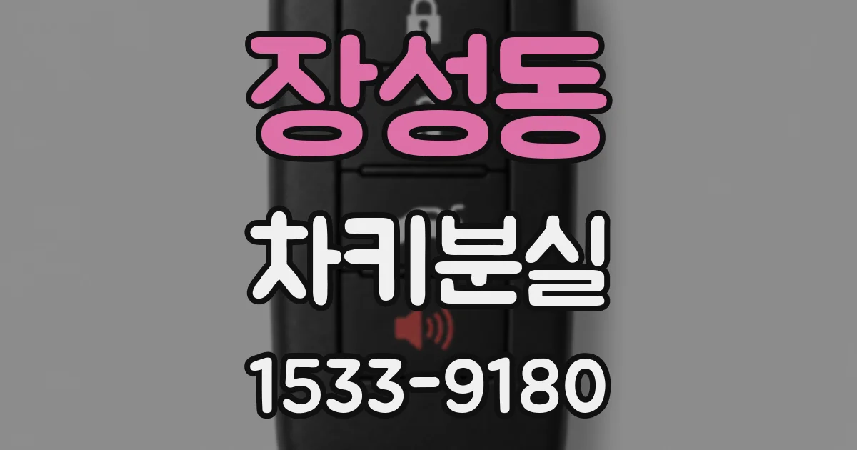장성동 차키분실