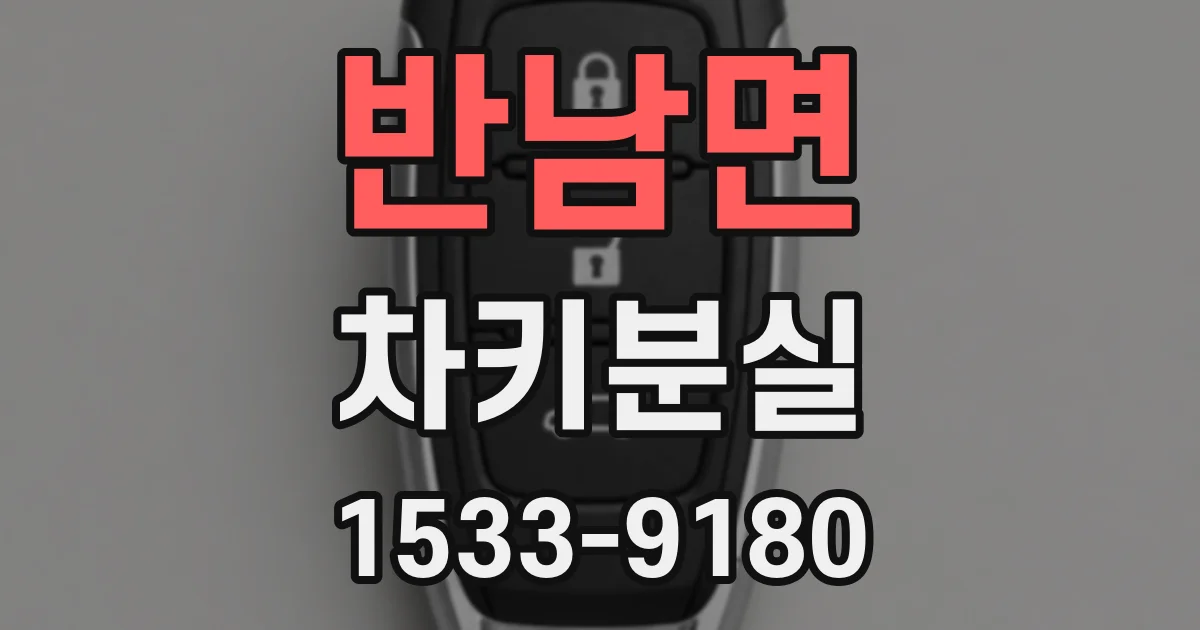 반남면 차키분실