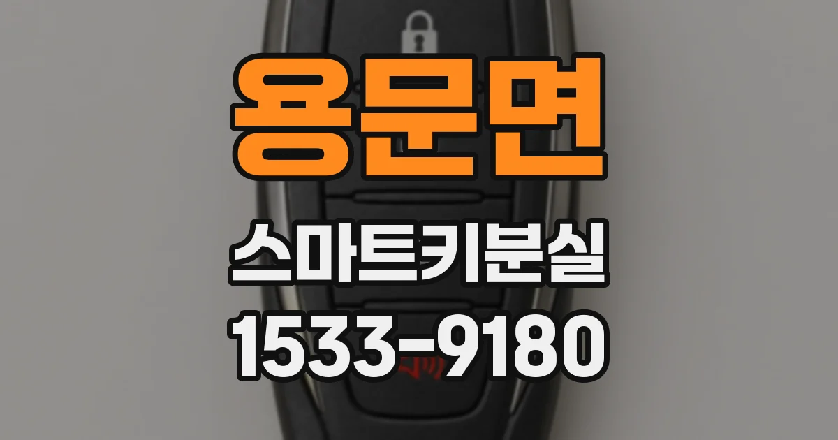 용문면 스마트키분실