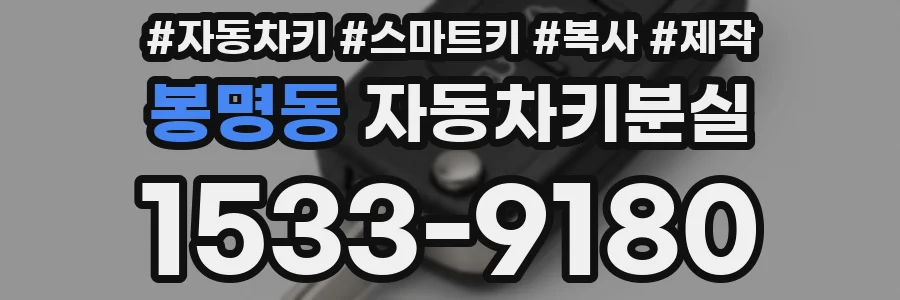 봉명동 자동차키분실
