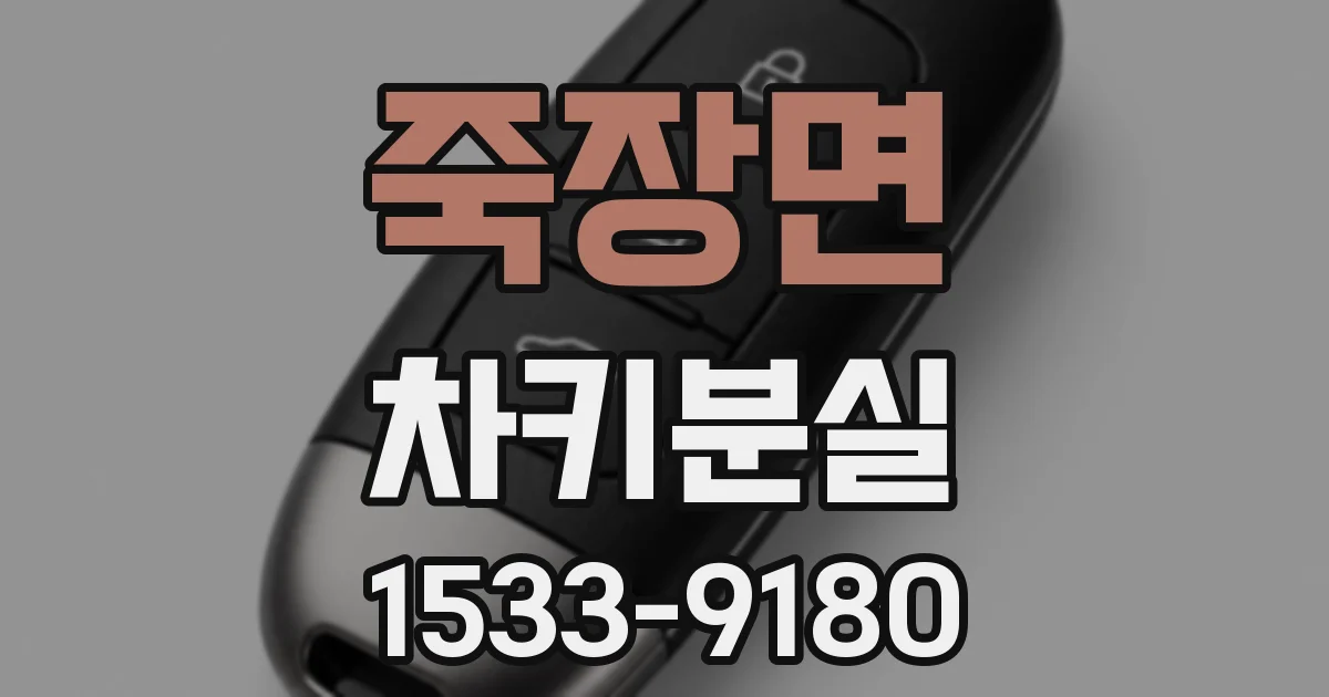 죽장면 차키분실