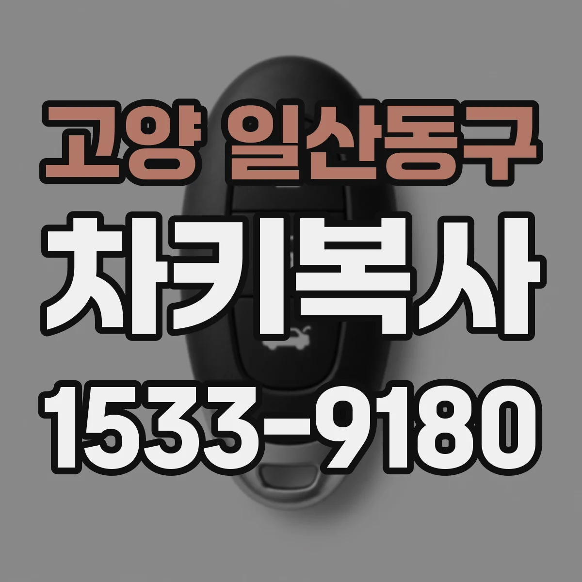 고양 일산동구 차키복사