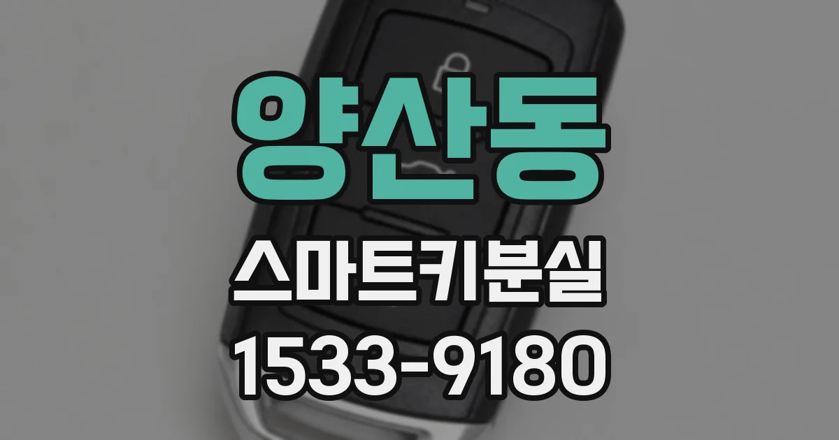 양산동 스마트키분실