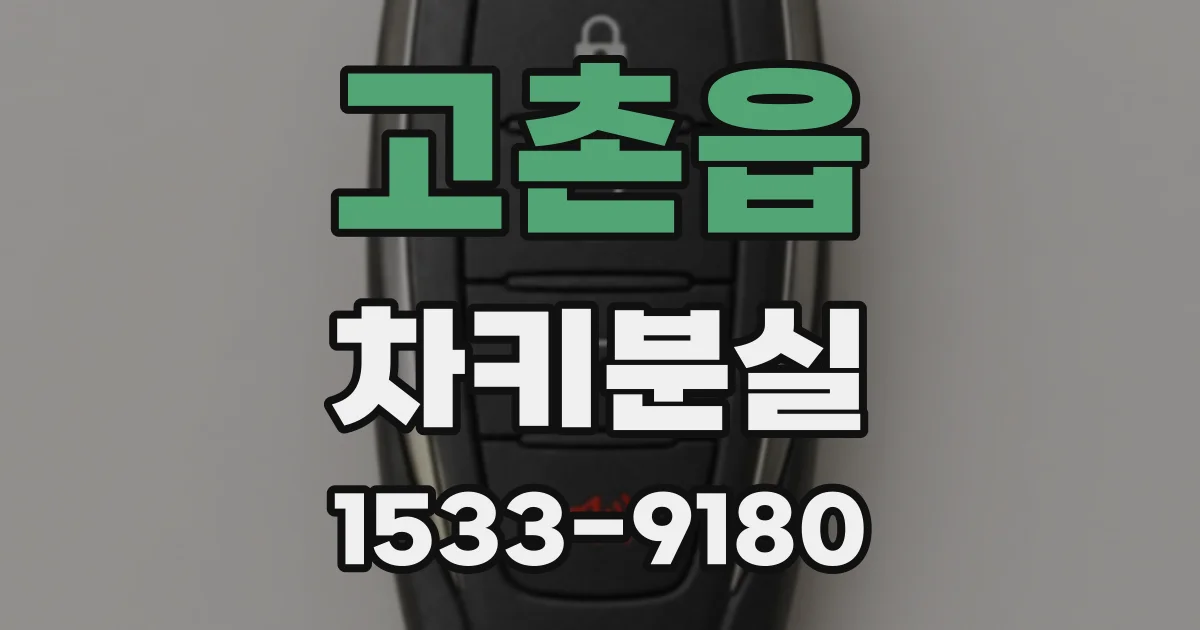 고촌읍 차키분실