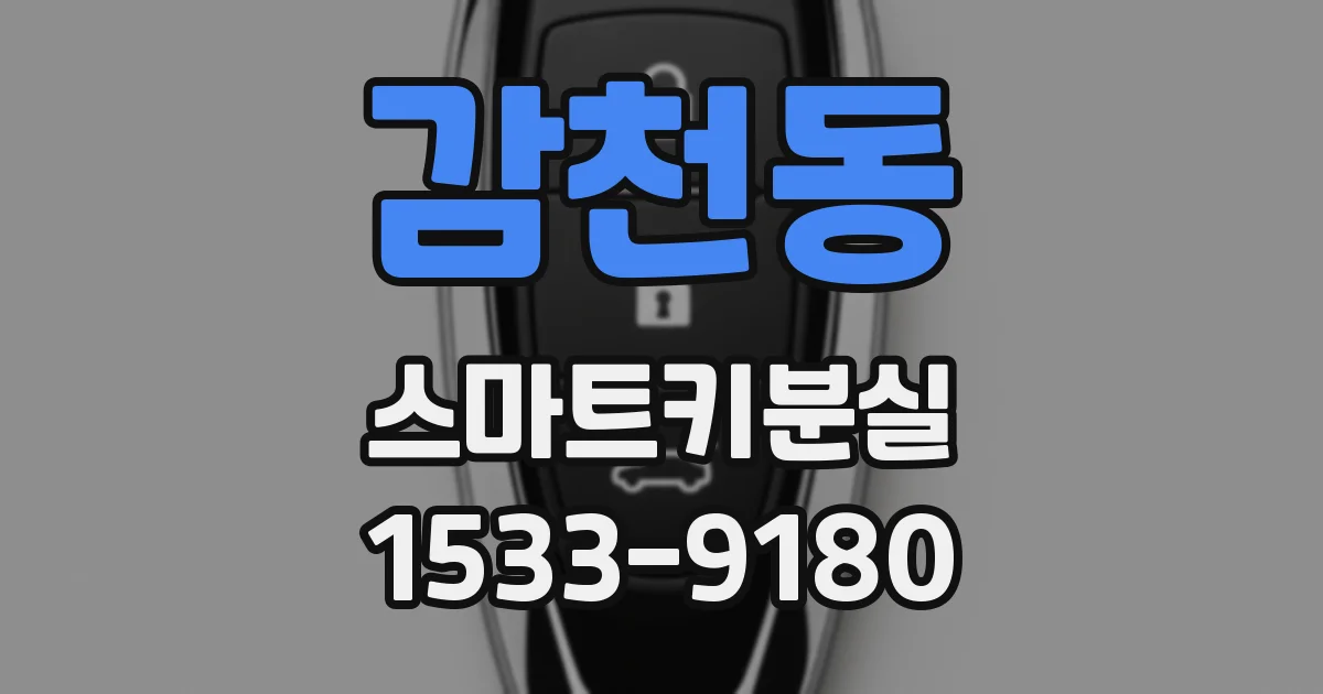 감천동 스마트키분실
