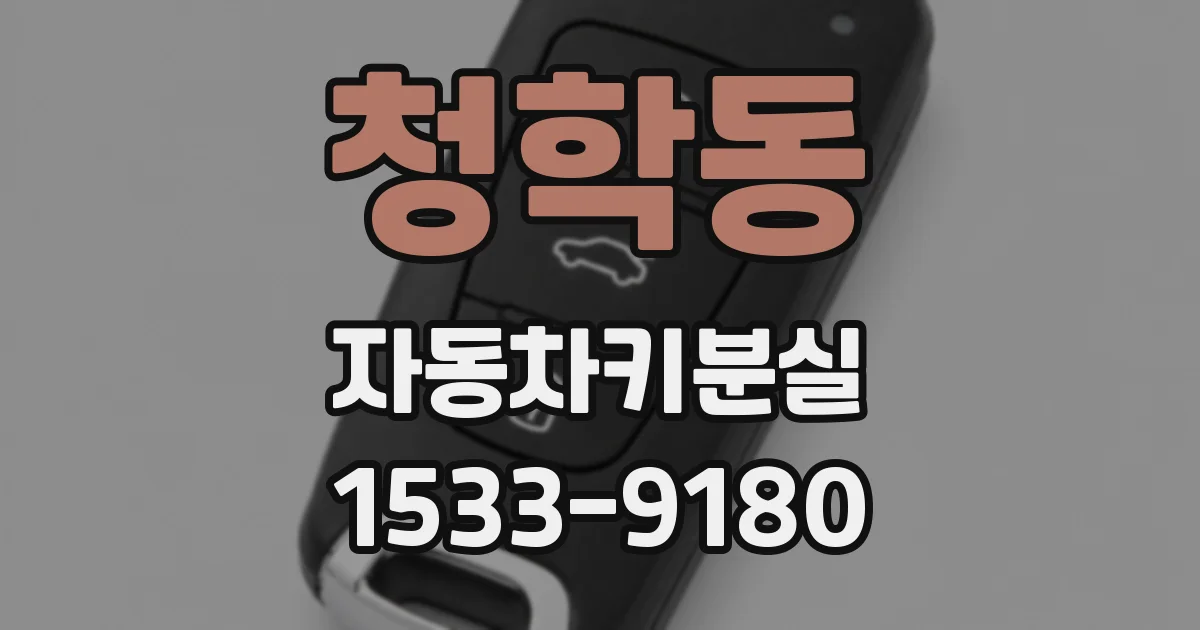 청학동 자동차키분실