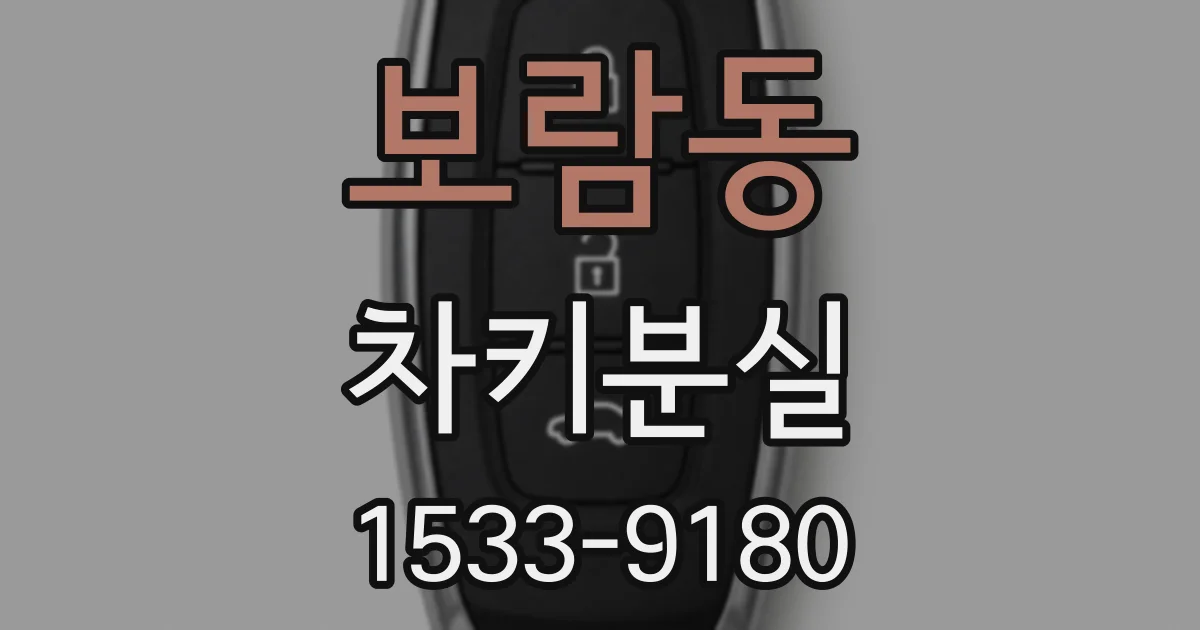 보람동 차키분실