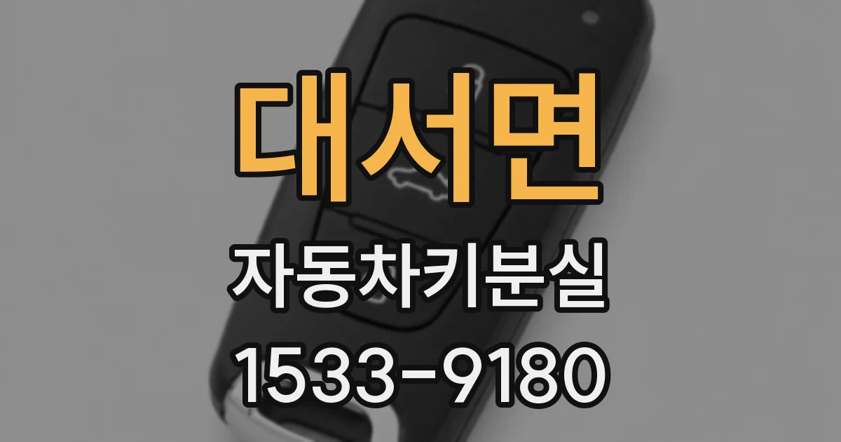 대서면 자동차키분실