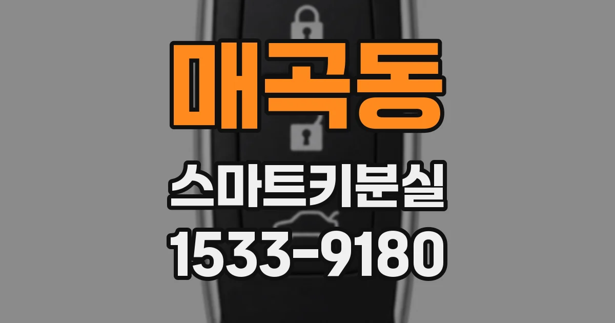 매곡동 스마트키분실