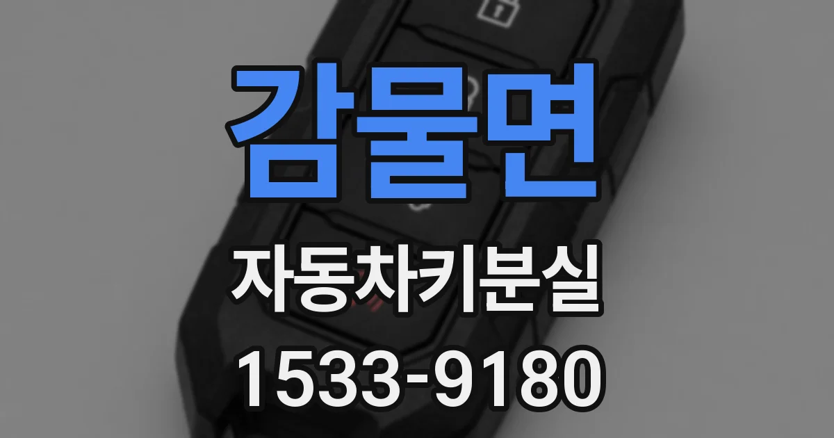 감물면 자동차키분실