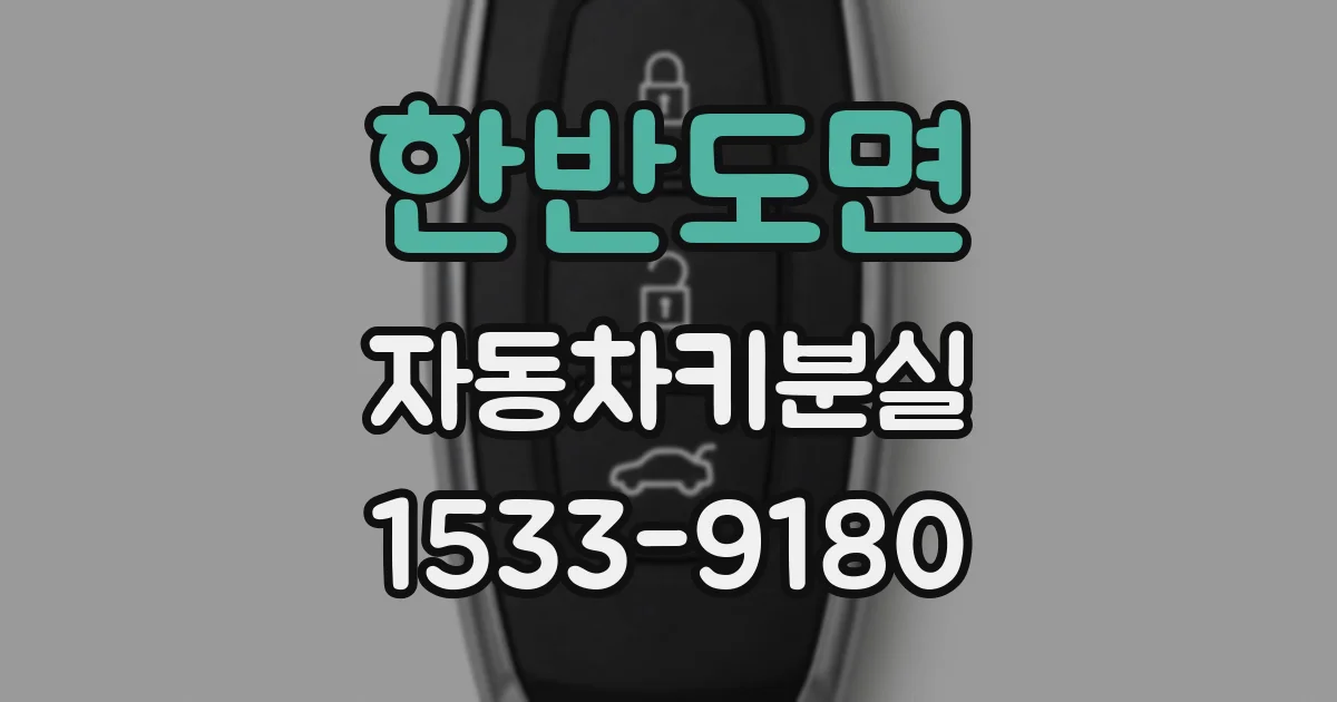 한반도면 자동차키분실