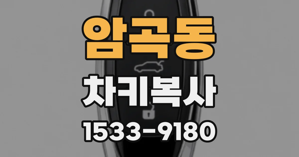 암곡동 차키복사