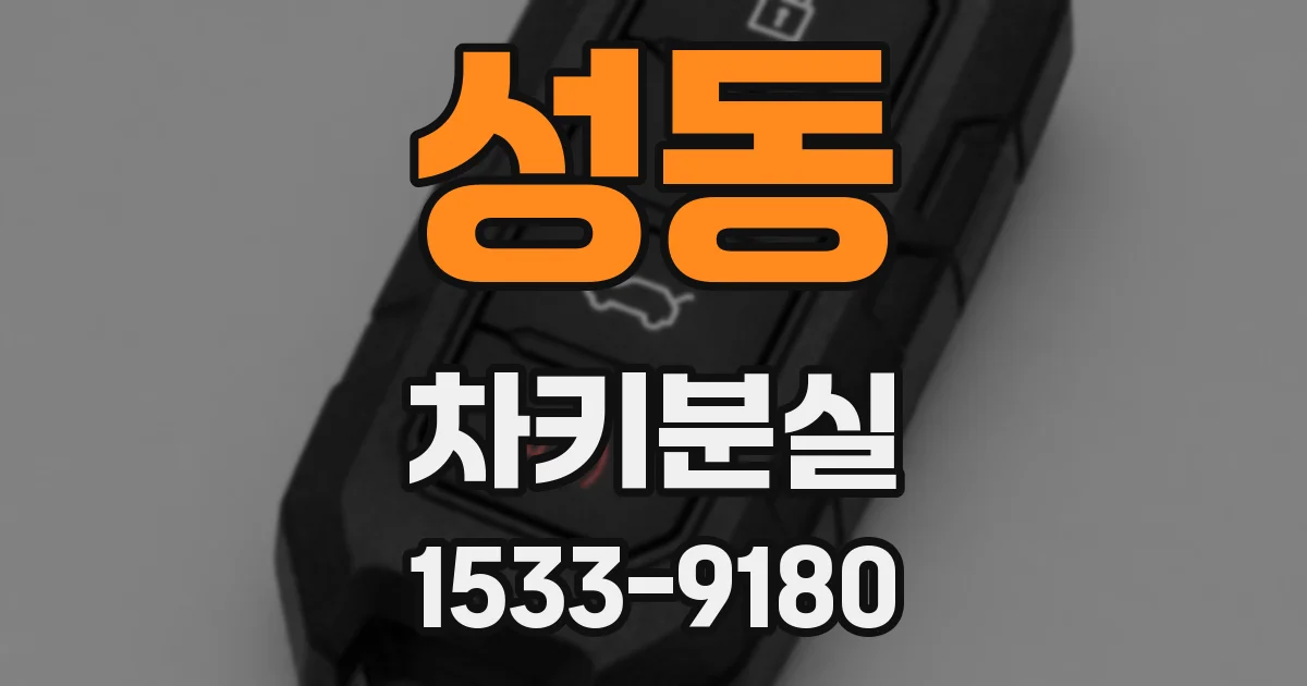 성동 차키분실