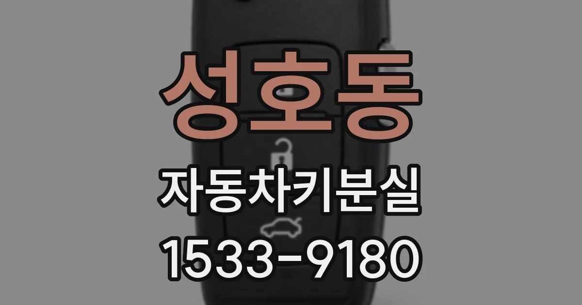 성호동 자동차키분실