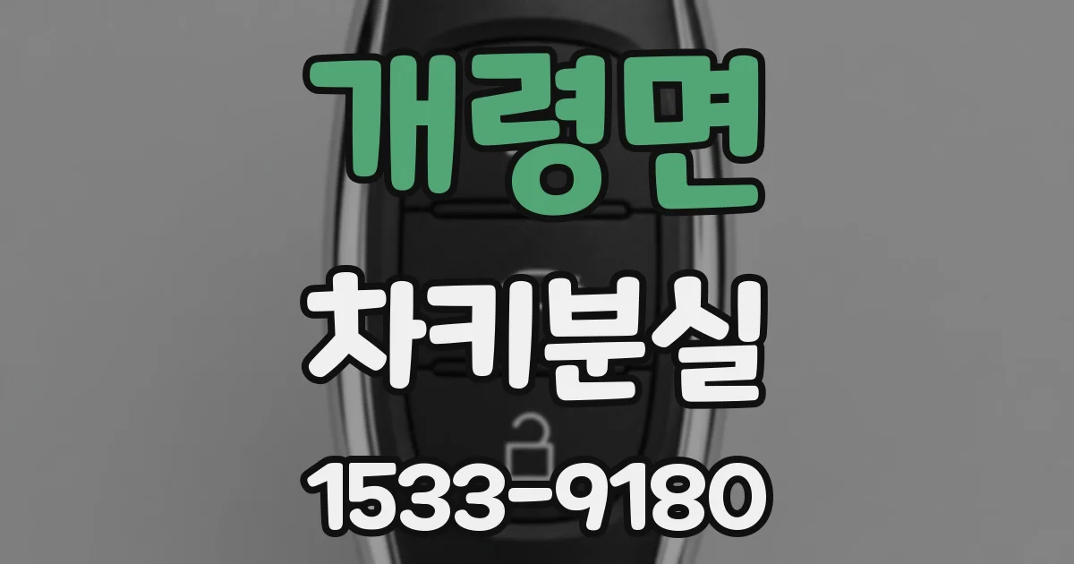 개령면 차키분실