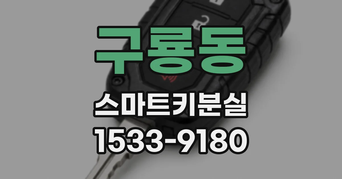 구룡동 스마트키분실