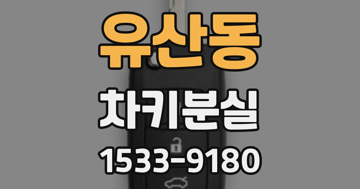 유산동 차키분실