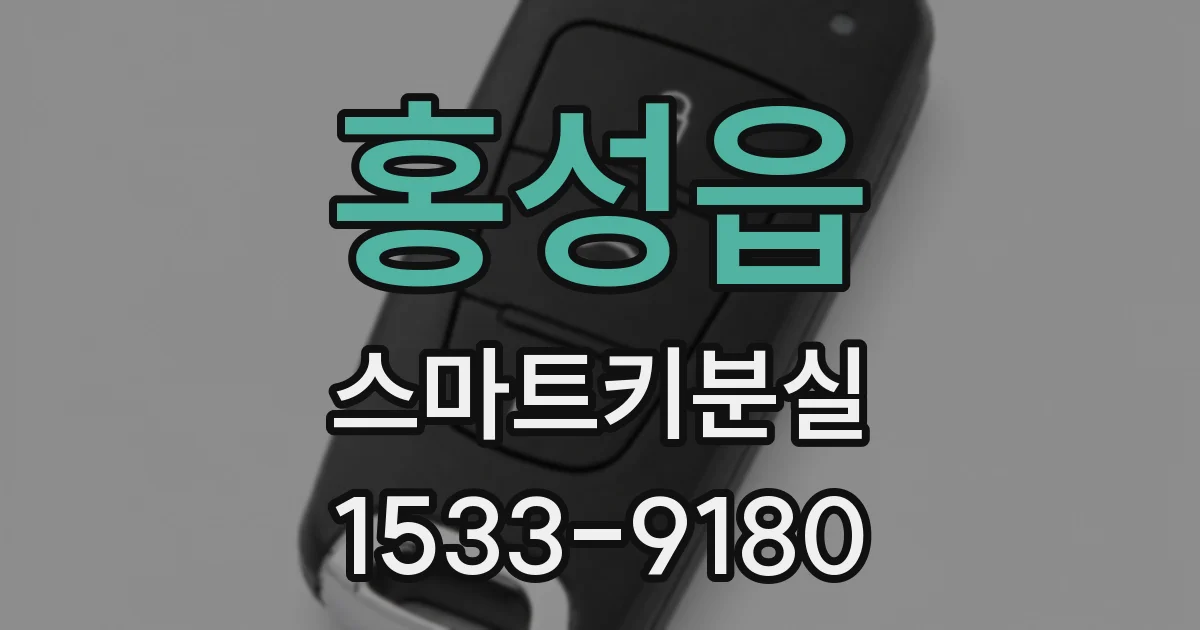 홍성읍 스마트키분실