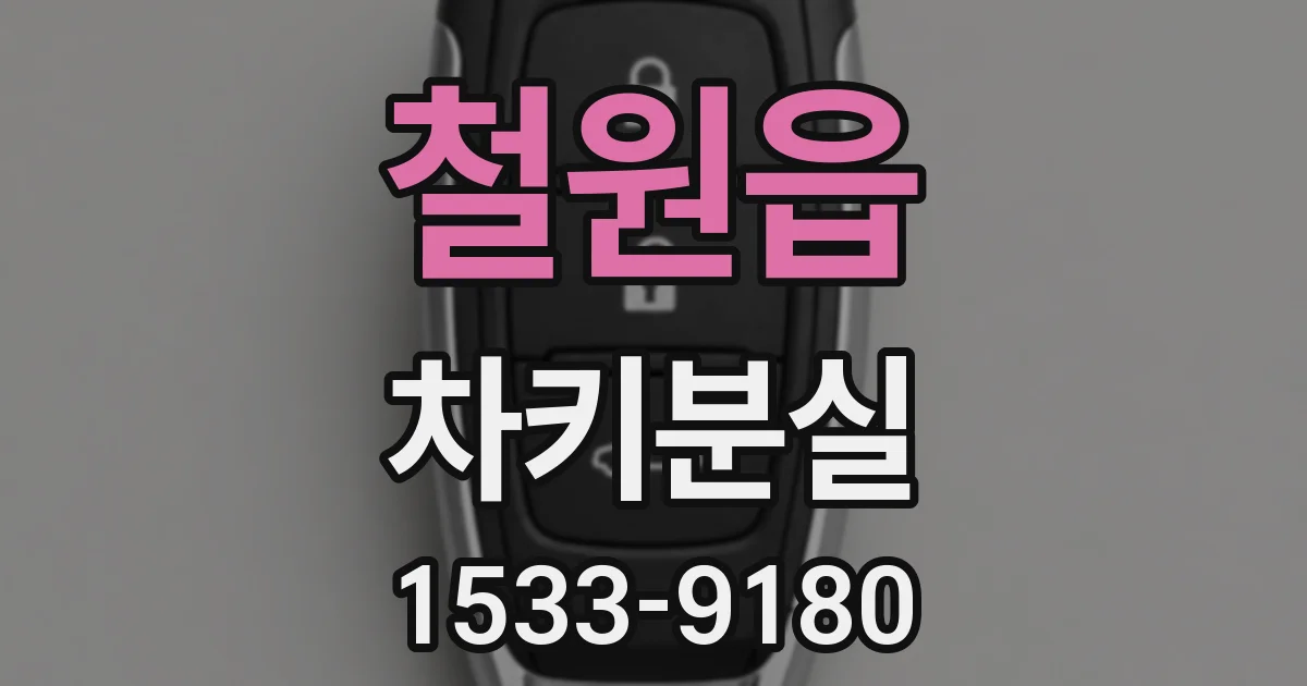 철원읍 차키분실