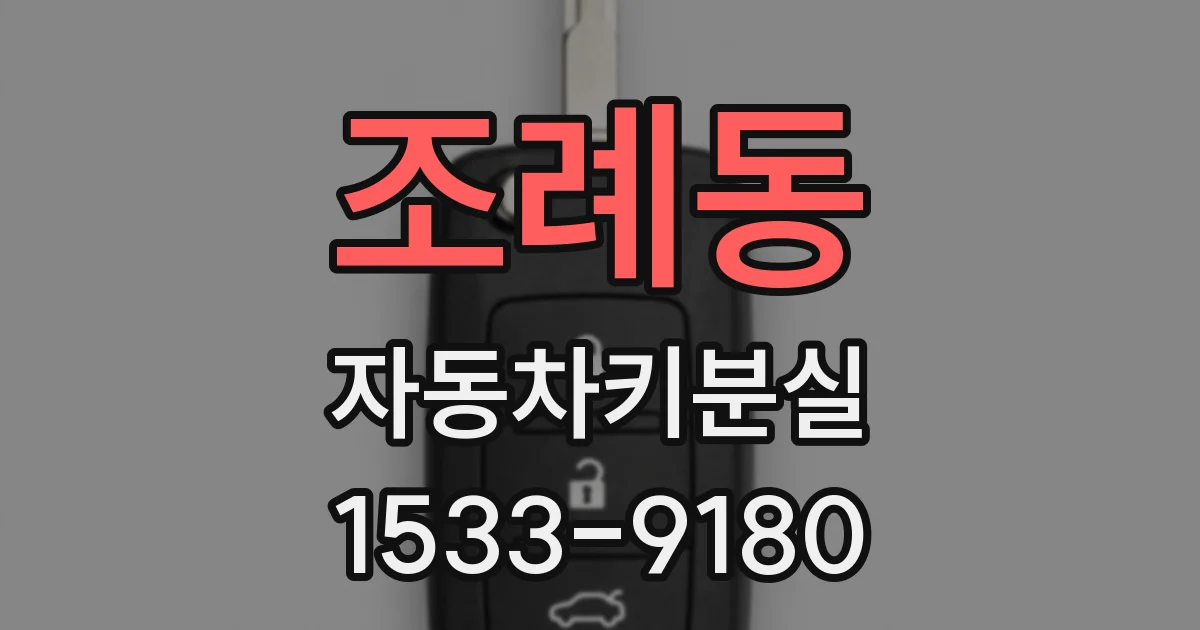 조례동 자동차키분실