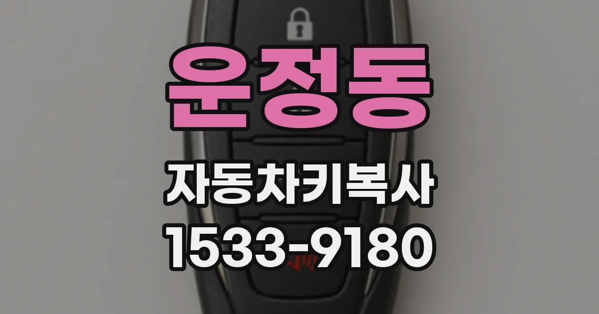 운정동 자동차키복사