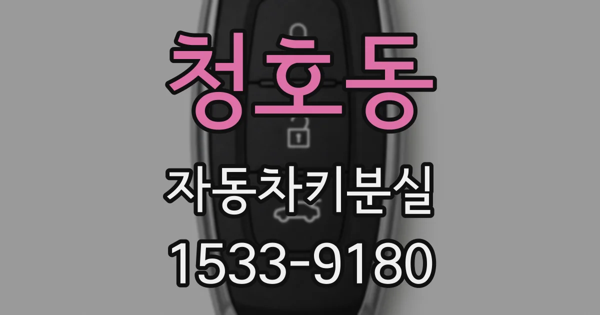 청호동 자동차키분실