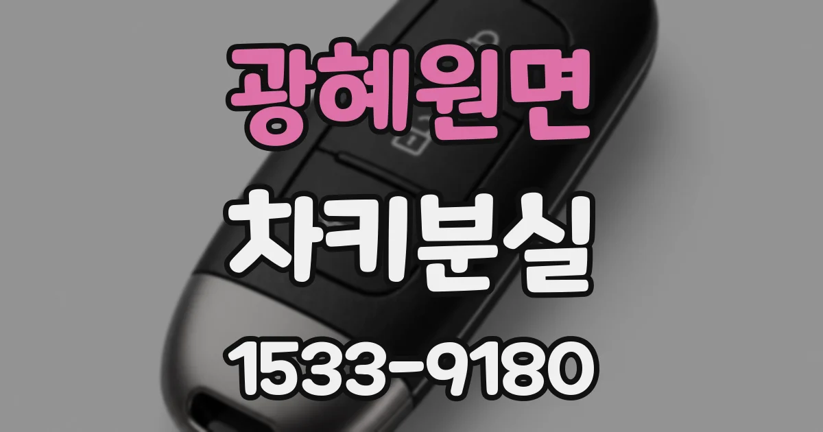 광혜원면 차키분실