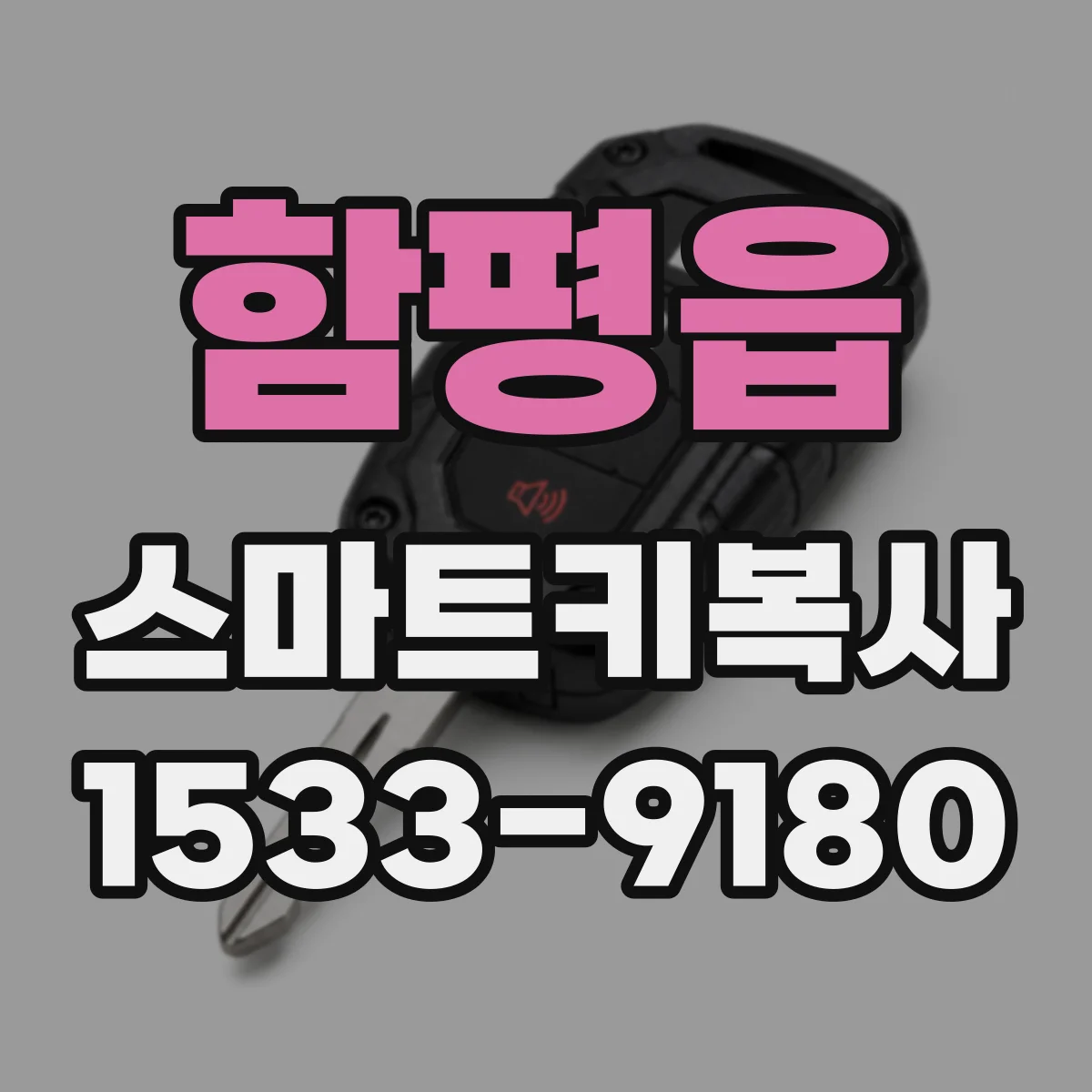 함평읍 스마트키복사