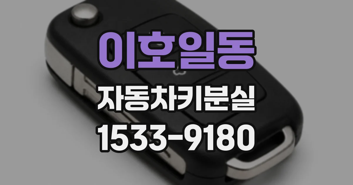 이호일동 자동차키분실