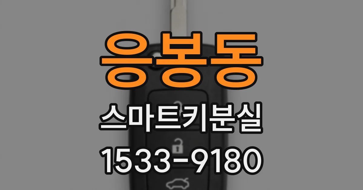 응봉동 스마트키분실