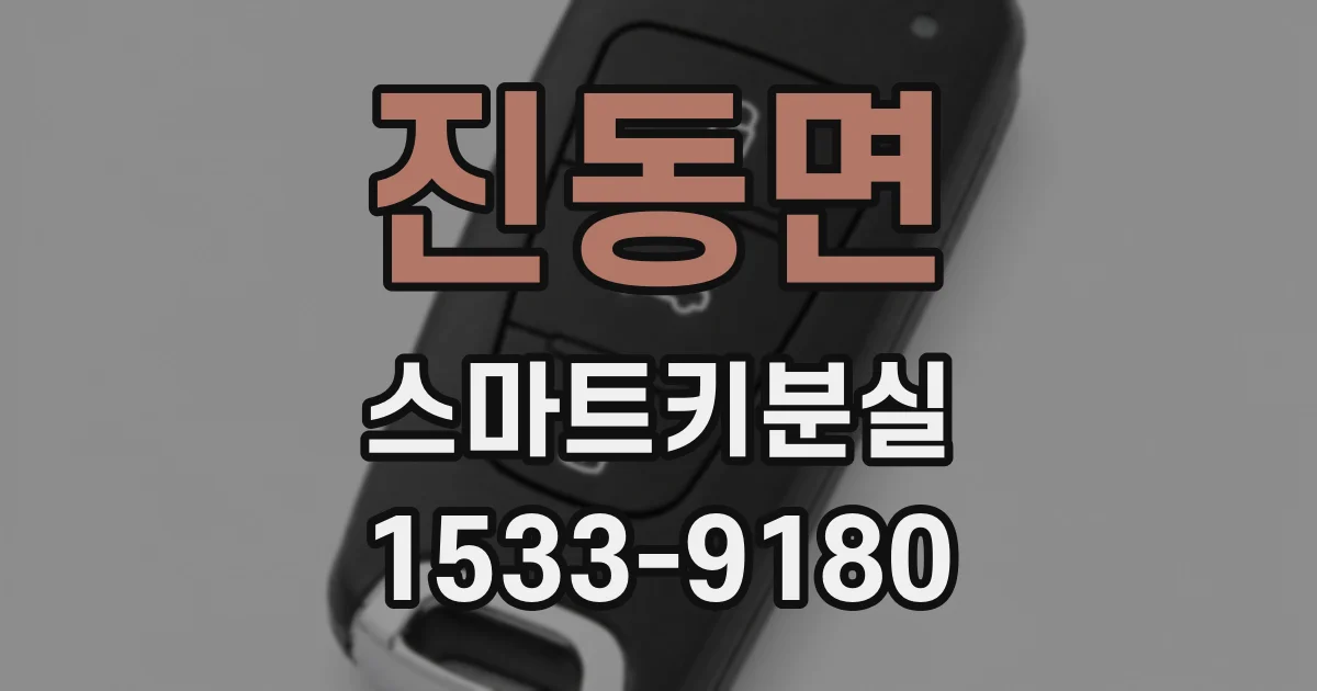 진동면 스마트키분실