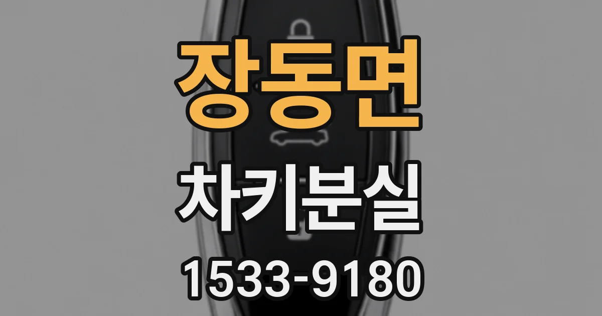 장동면 차키분실