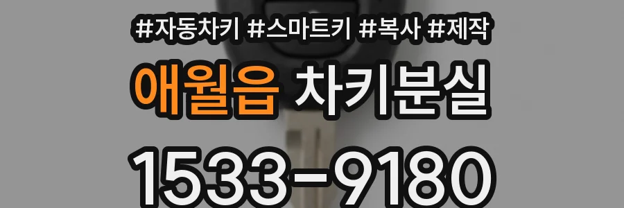 애월읍 차키분실