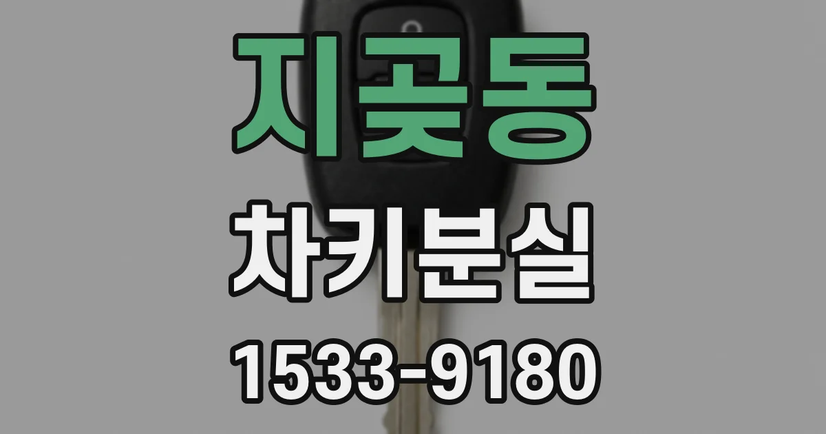 지곶동 차키분실