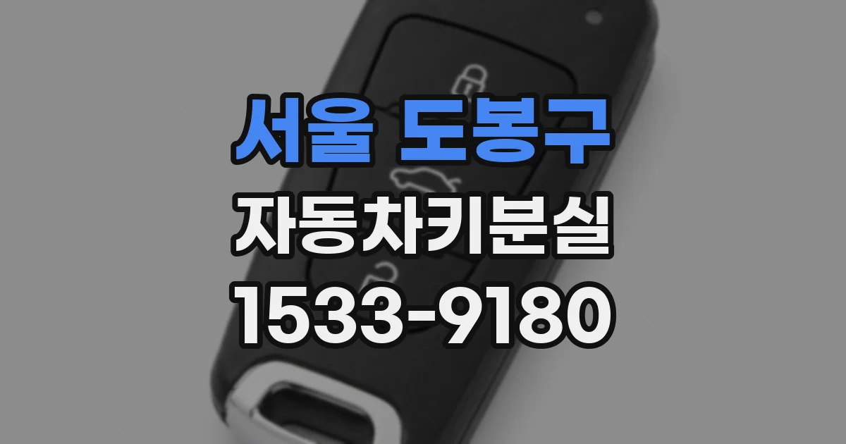 서울 도봉구 자동차키분실
