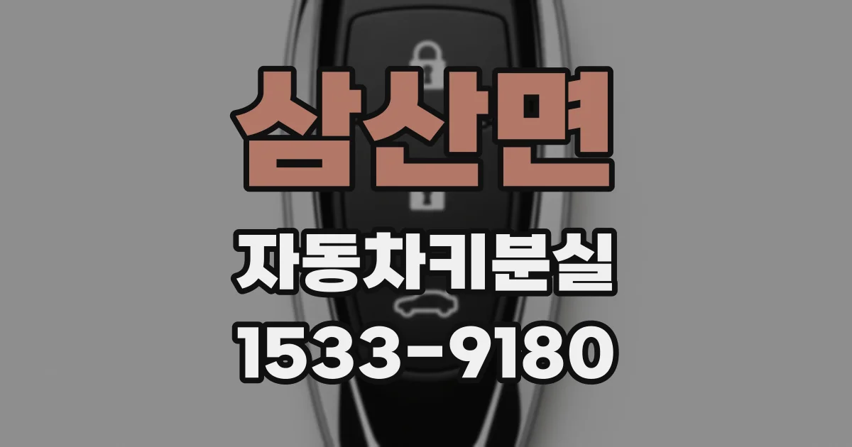 삼산면 자동차키분실