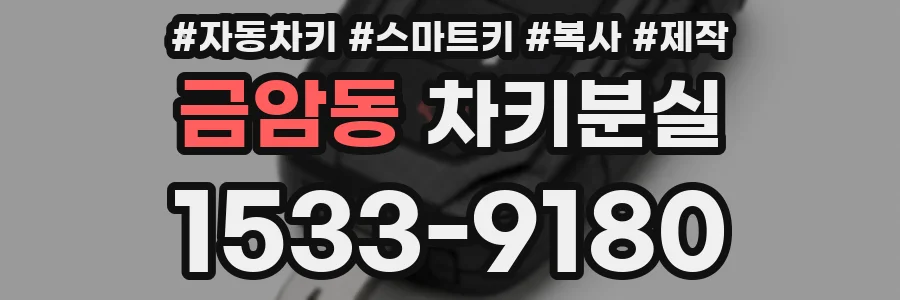 금암동 차키분실