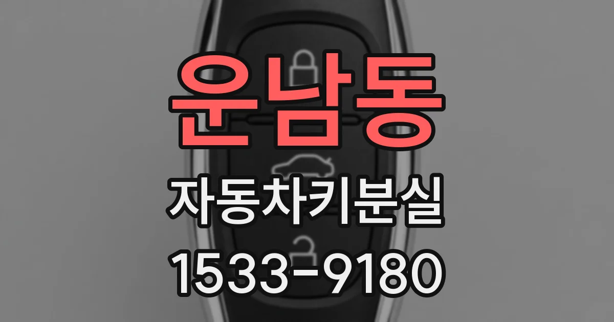 운남동 자동차키분실